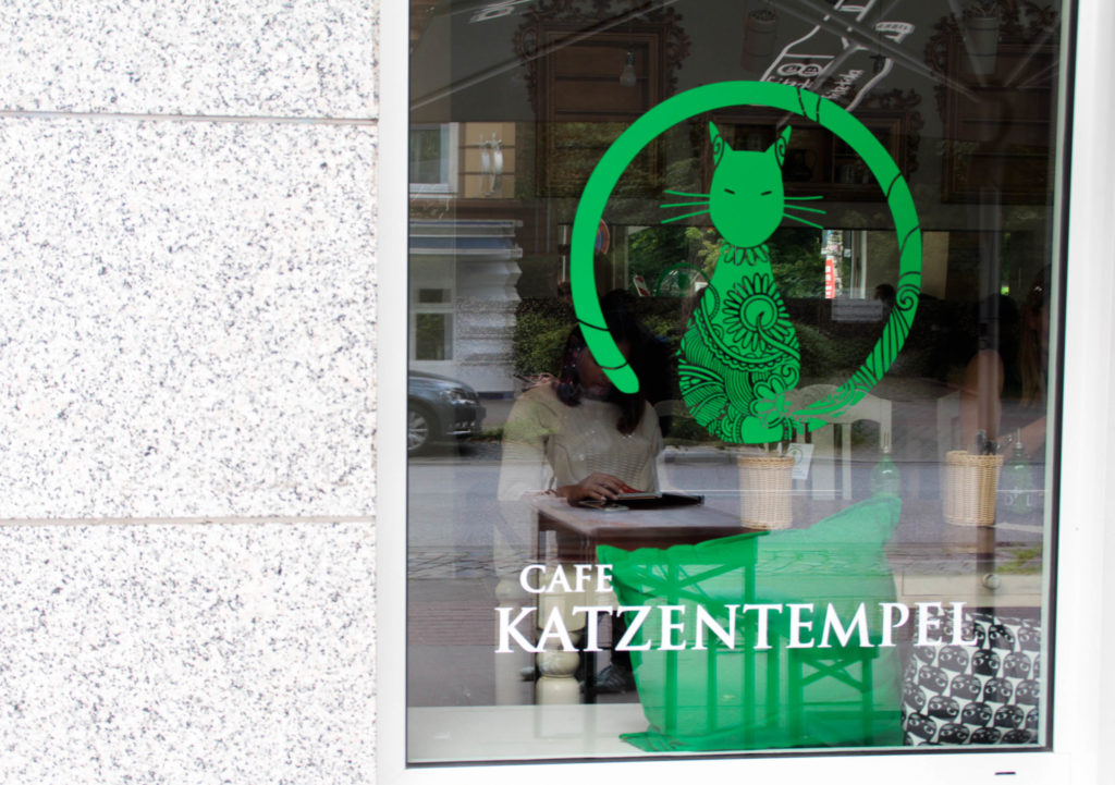 Katzen-cafe-katzentempel-deutschland-hamburg-blog-blogger-food-event-katze-katzen-freizeit-tipp-ferien